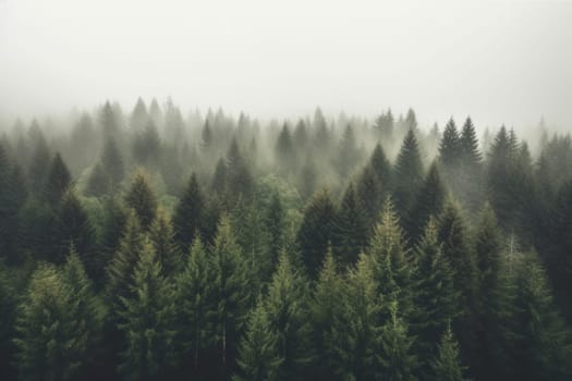 Misty landscape with fir forest in hipster vintage retro style, Vintage foggy mountain landscape.