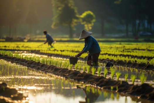 Agriculture of Asia Local Thai farmers are planting rice fields Generative AI.