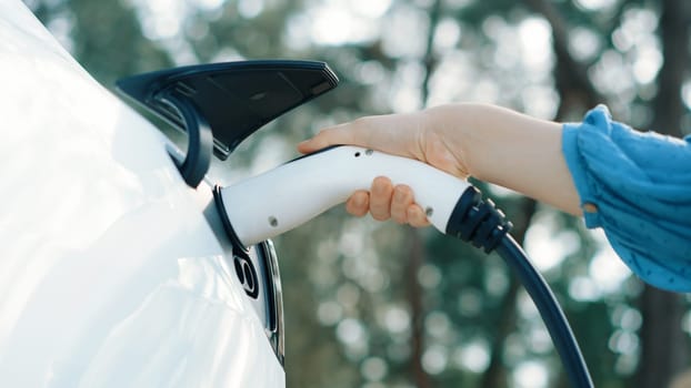 Closeup woman recharge EV electric car's battery at parking lot in natural green park. Clean energy technology for rechargeable vehicle for sustainable and eco friendly travel. Perpetual