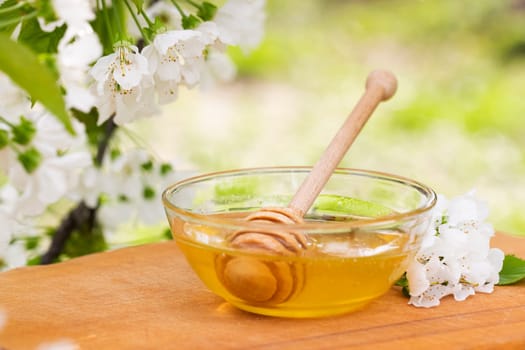 Honey dipper resting in a glass bowl filled with honey, white blossoms adorning the side.