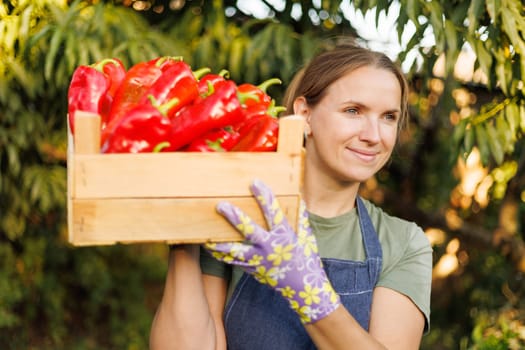 Content woman holding a wooden crate full of ripe red bell peppers in a garden
