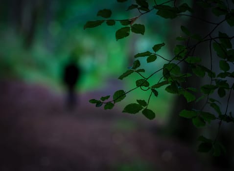 Moody Image A Man Or Woman Walking In A Forest At Dusk