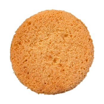 An Isolated Pottery Sponge On A White Background