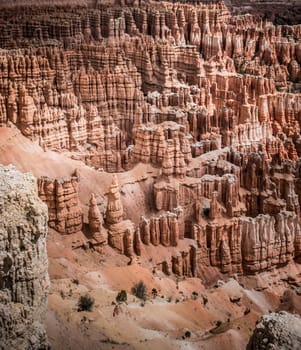 Hoodoos in Bryce Canyon National Park