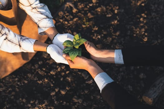 Eco-business company empower farmer with eco-friendly farming practice and clean agricultural technology. Cultivate sustainable future nurturing plants to grow and thrive. Gyre