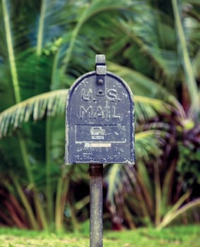 Vintage US Mail Post Box Against Palm Trees In Hawaii