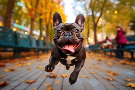 Unrecognizable a Dog run fast in city park autumn.