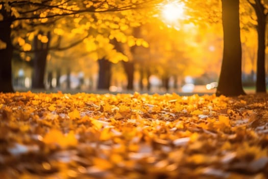 Beautiful autumn season leaf sunlight.