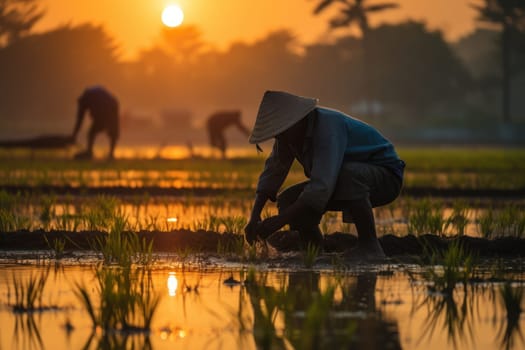 Agriculture of Asia Local Thai farmers are planting rice fields.
