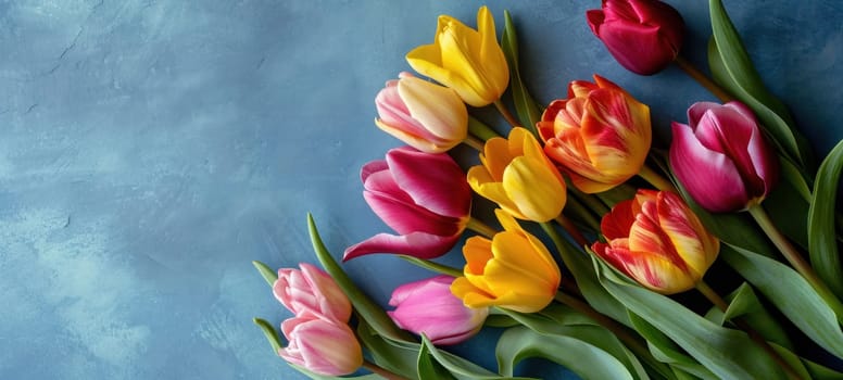 Freshly bloomed colorful tulips arranged beautifully against a rustic blue textured backdrop.