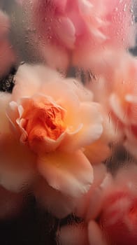 Background of blooming flowers in front of glass with water drops Stock Photo.