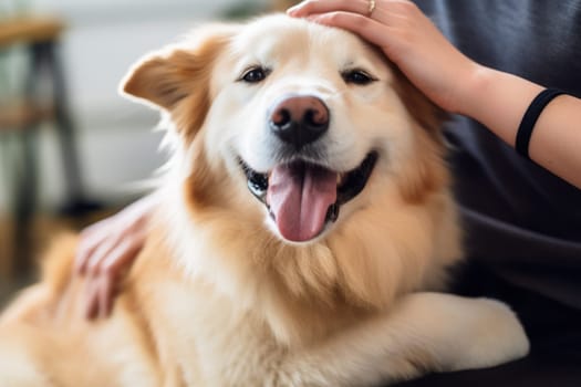 a happy dog with owner happy together.