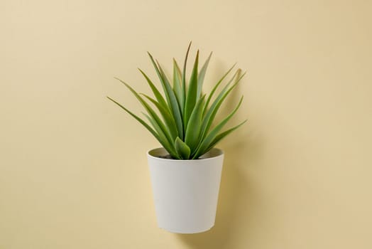 Artificial cactus plant or plastic or fake tree on yellow background
