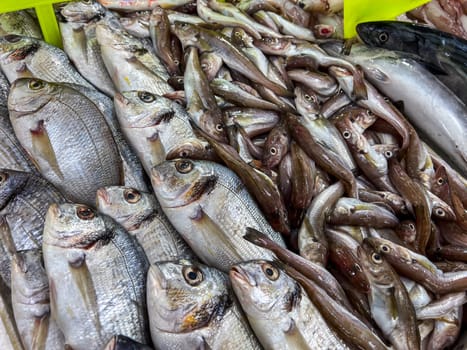 Close-up of fresh raw fish in ice on the counter at a fish market