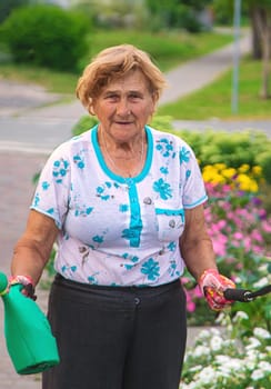 An elderly woman plants flowers in the garden. Selective focus. nature.