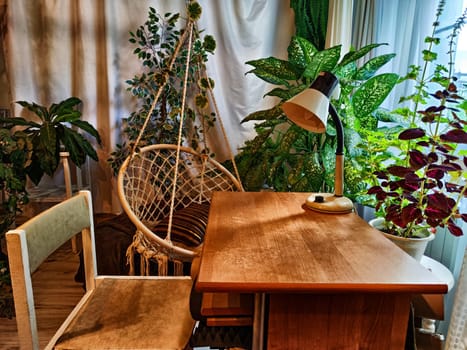 The interior of the room has a wicker swing chair, a desk, a desk lamp and green flowers, trees and window with curtains. A study with greenery. Winter Garden