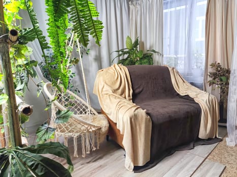 Stylish living room interior with cozy sofa, houseplant in winter garden and elegant curtains