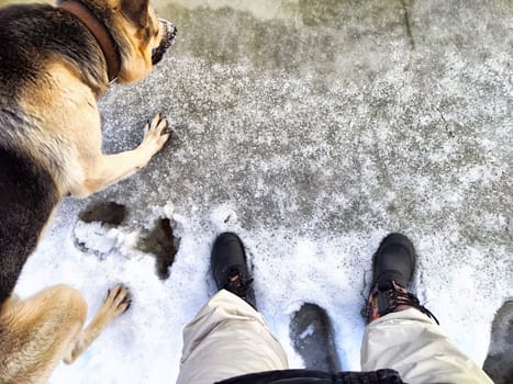Feet of Hunter or fisherman in big warm boots And paws of dog on snow. Top view. Fisherman on ice of river, lake, reservoir on winter day with melting ice. Dangerous fishing in spring or autumn day