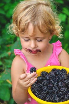 A child in the garden eats blackberries. Selective focus. Kid.