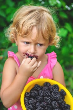 A child in the garden eats blackberries. Selective focus. Kid.