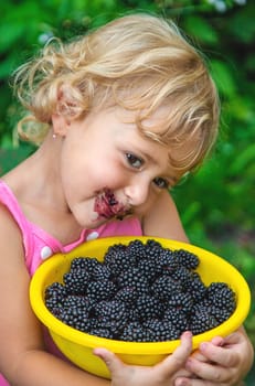 A child in the garden eats blackberries. Selective focus. Kid.