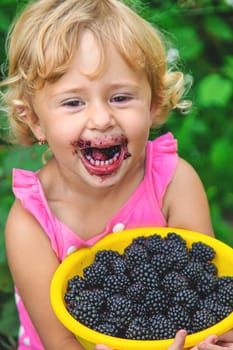 A child in the garden eats blackberries. Selective focus. Kid.