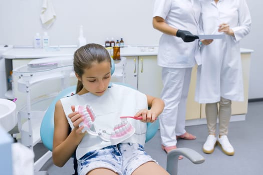 Girl child sitting in dentists office studying model of dental jaw, awaiting treatment. Beautiful smooth healthy white teeth in children