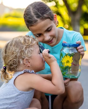 A child looks into a jar with a magnifying glass. Selective focus. Kid.