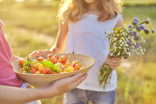 Harvest of fresh sweet yellow cherries in bowl in hands of girl. Closeup natural organic berries, summer day background, child with bouquet of wildflowers, nature, landscape