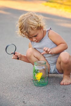 A child looks into a jar with a magnifying glass. Selective focus. Kid.