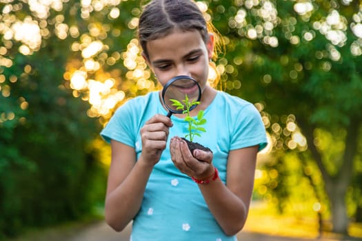 A child looks at a plant in his hands with a magnifying glass. Selective focus. Kid.