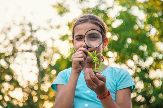 A child looks at a plant in his hands with a magnifying glass. Selective focus. Kid.