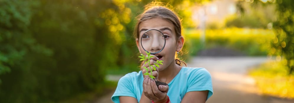 A child looks at a plant in his hands with a magnifying glass. Selective focus. Kid.