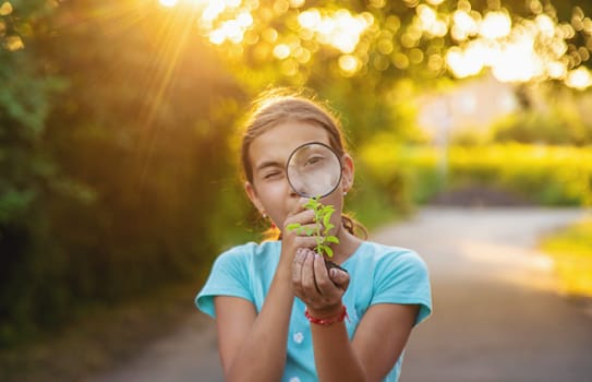 A child looks at a plant in his hands with a magnifying glass. Selective focus. Kid.