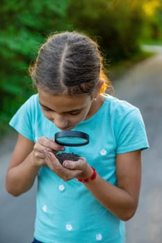 The child looks at the soil in his hands with a magnifying glass. Selective focus. Kid,