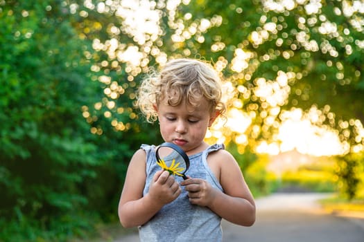 A child looks at a flower with a magnifying glass. Selective focus. Kid.