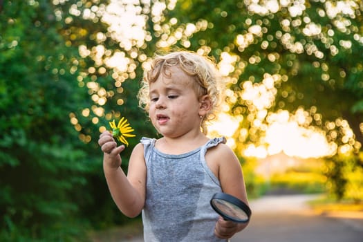 A child looks at a flower with a magnifying glass. Selective focus. Kid.