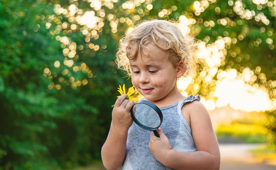 A child looks at a flower with a magnifying glass. Selective focus. Kid.