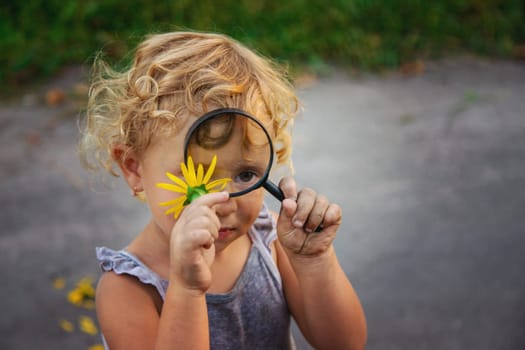 A child looks at a flower with a magnifying glass. Selective focus. Kid.