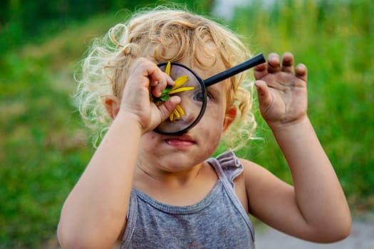 A child looks at a flower with a magnifying glass. Selective focus. Kid.