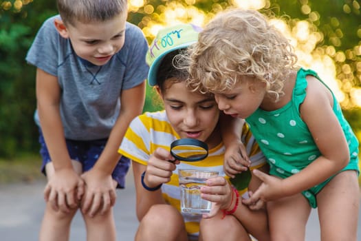 Children look with a magnifying glass into a glass of water. Selective focus. Kid.