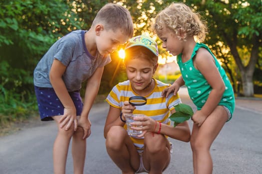 Children look with a magnifying glass into a glass of water. Selective focus. Kid.