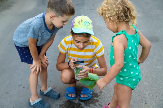 Children look with a magnifying glass into a glass of water. Selective focus. Kid.