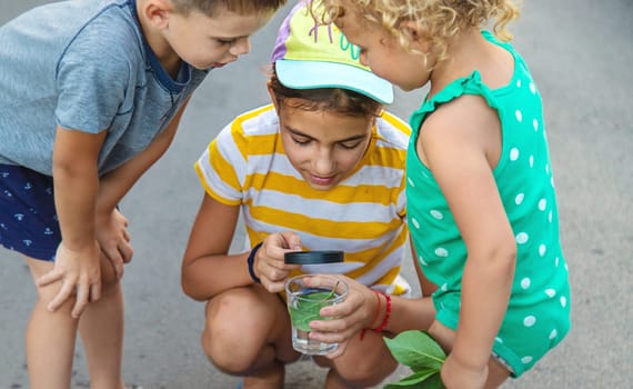 Children look with a magnifying glass into a glass of water. Selective focus. Kid.