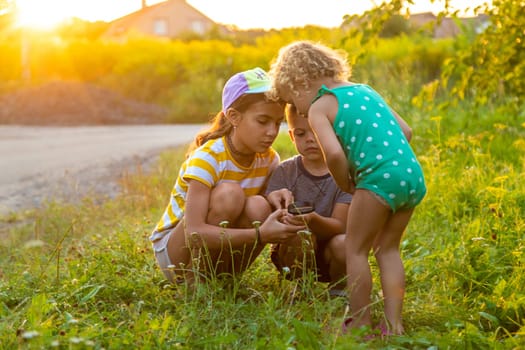 Children look through a magnifying glass together at the plants in the garden. Selective focus. Kid.