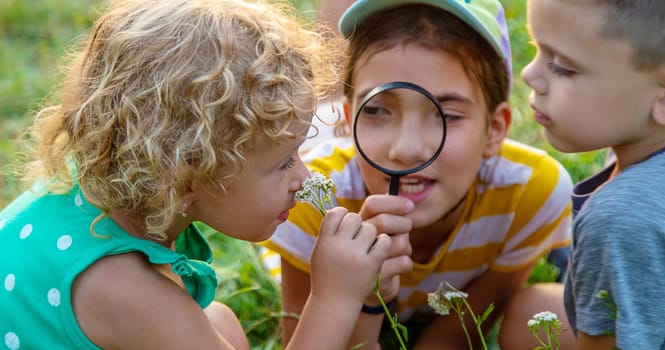 Children look through a magnifying glass together at the plants in the garden. Selective focus. Kid.