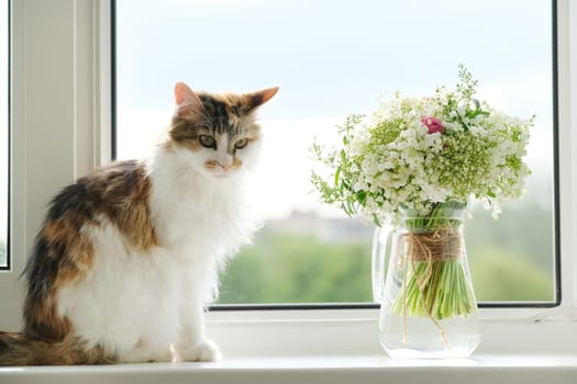 Springtime, domestic fluffy cat and bouquet of spring flowers lilies of the valley in vase on window