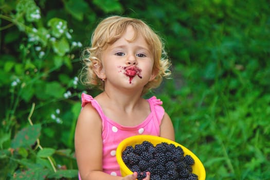 A child in the garden eats blackberries. Selective focus. Kid.