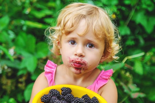 A child in the garden eats blackberries. Selective focus. Kid.