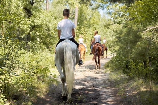 Group of teenagers on horseback riding in summer park, back view